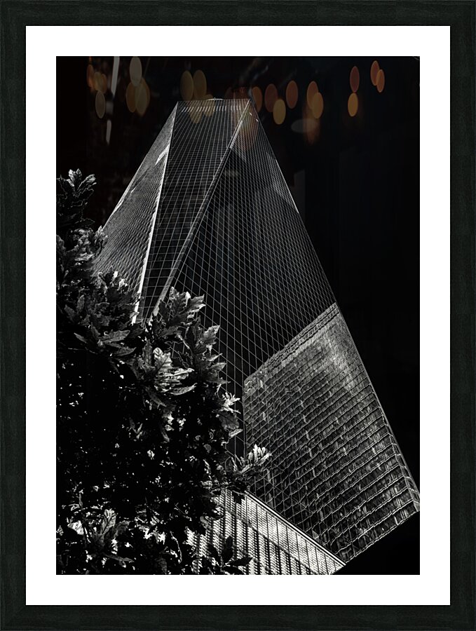 CIT 00389 Picture Frame print