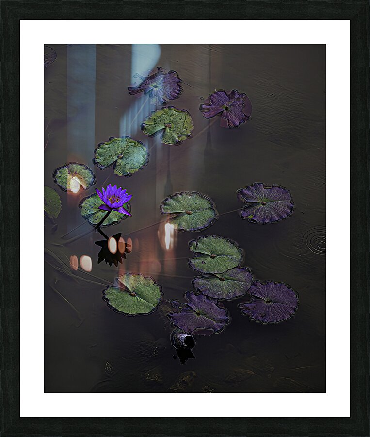 FLO 00443 Picture Frame print