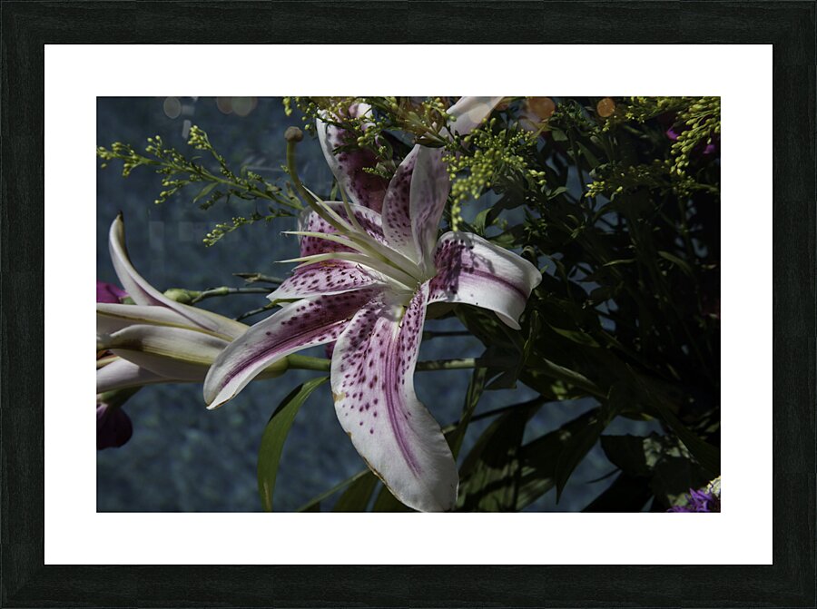 FLO 00427 Picture Frame print