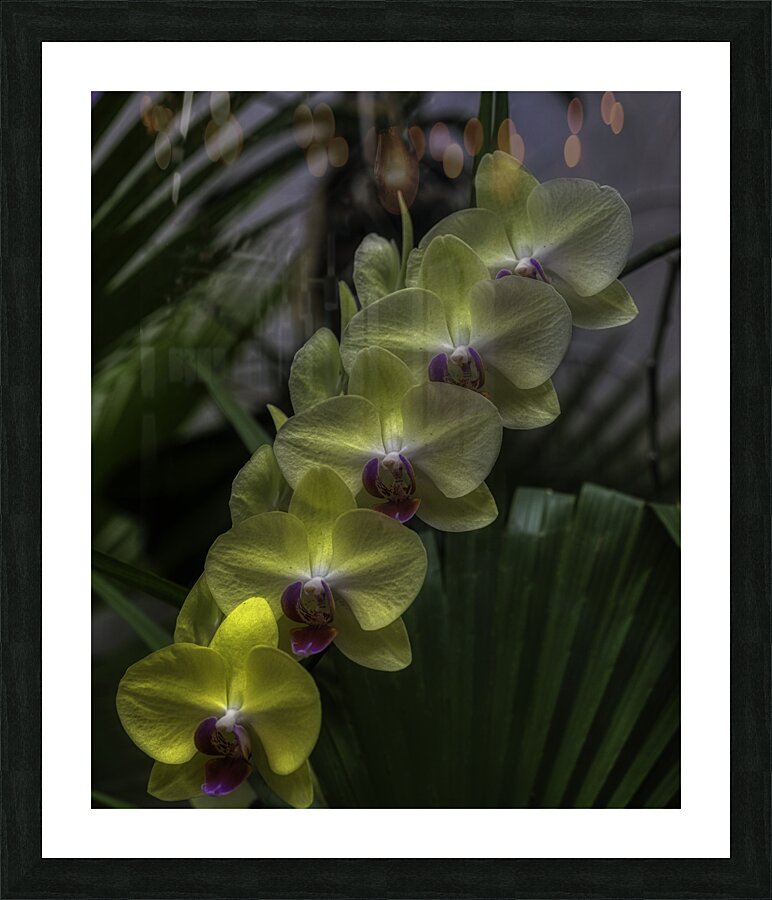 FLO 00450 Picture Frame print