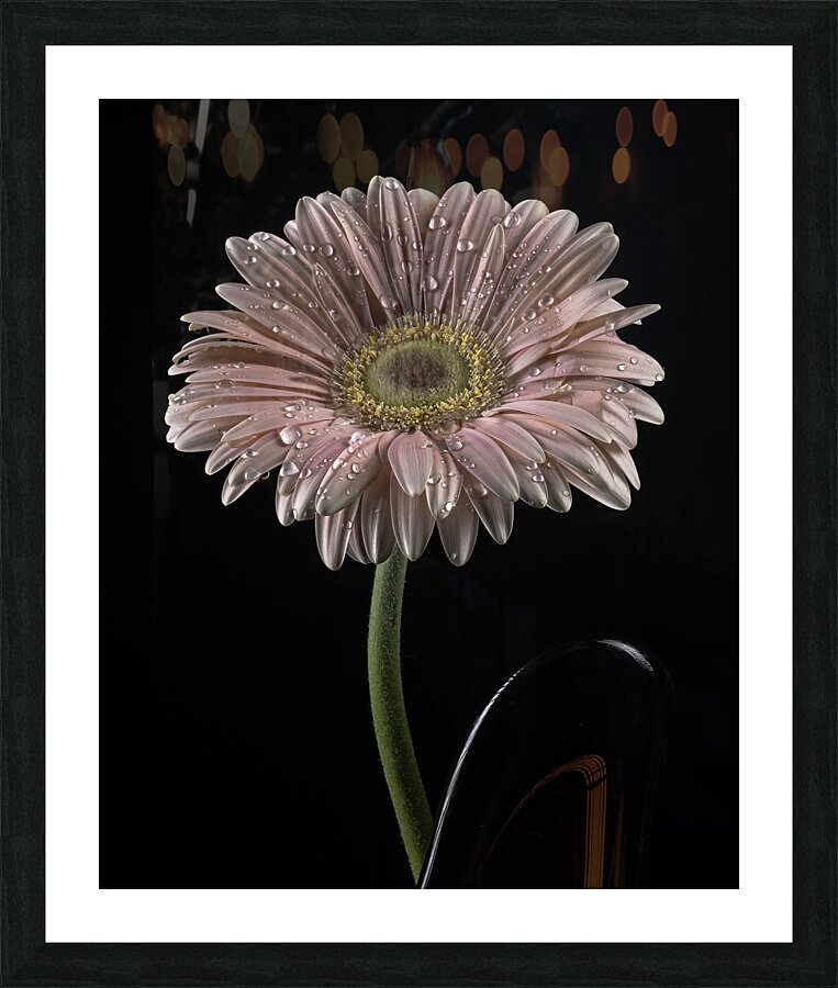 FLO 00452 Picture Frame print