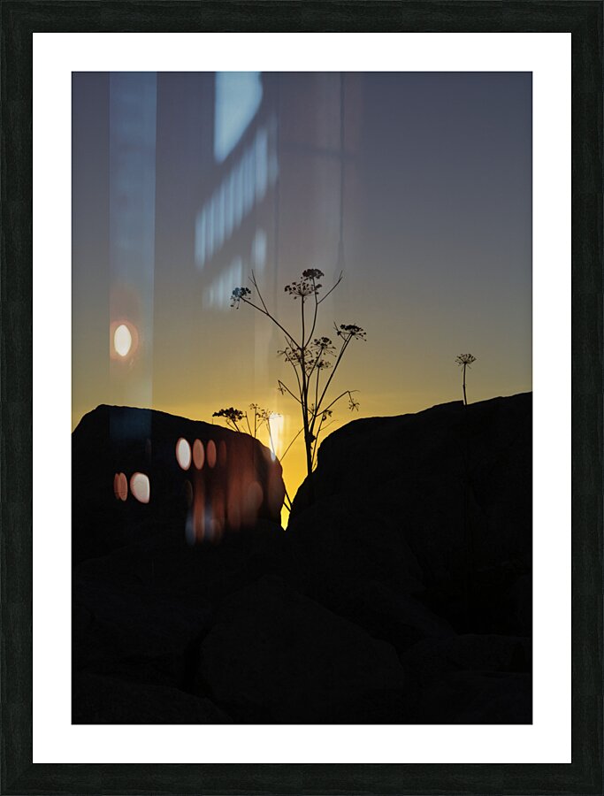 FLO 00448 Picture Frame print