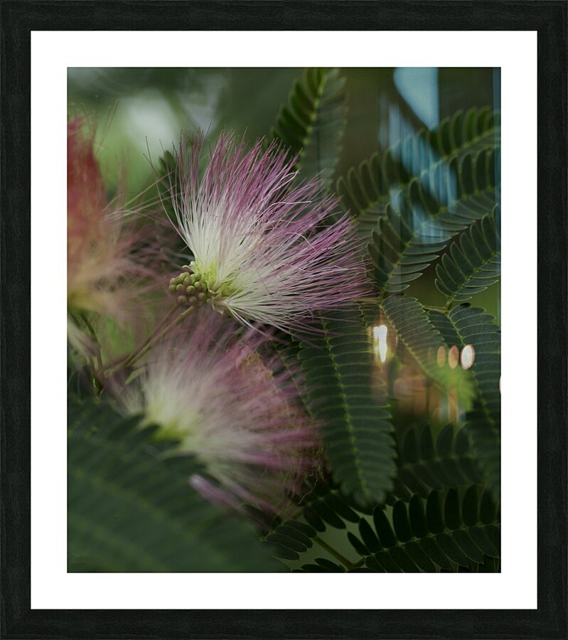 FLO 00442 Picture Frame print