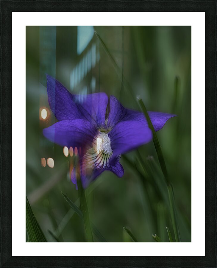 FLO 00455 Picture Frame print