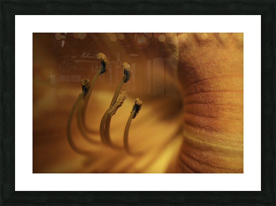 FLO 00419 Picture Frame print