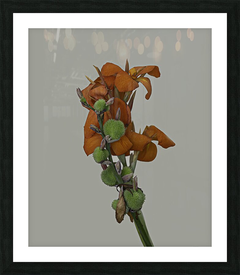 FLO 00490 Picture Frame print