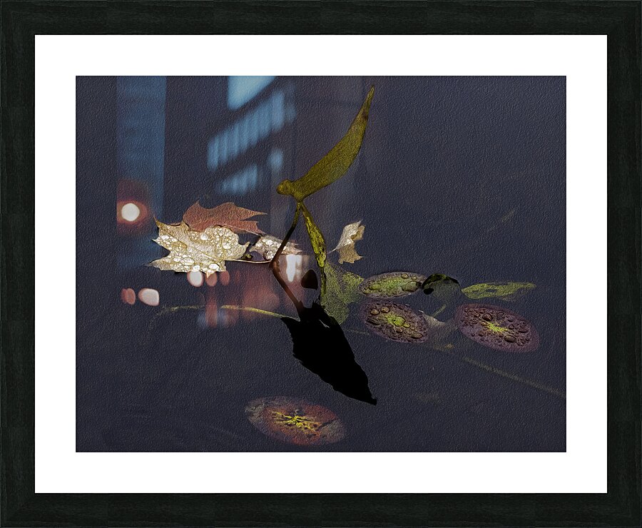 FLO 00467 Picture Frame print