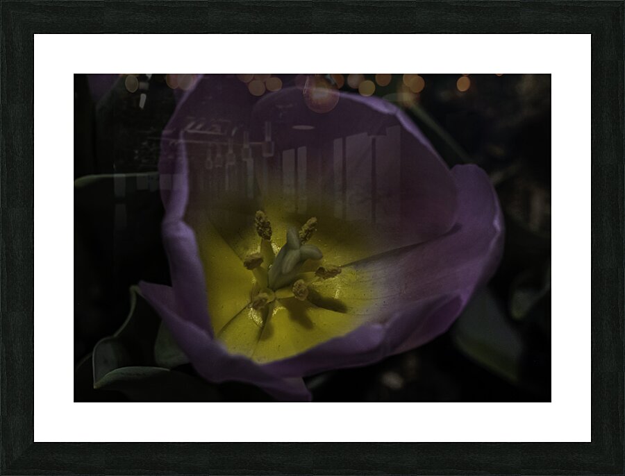 FLO 00495 Picture Frame print