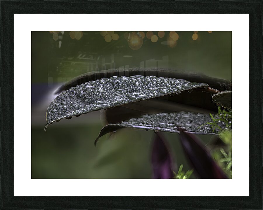FLO 00492 Picture Frame print