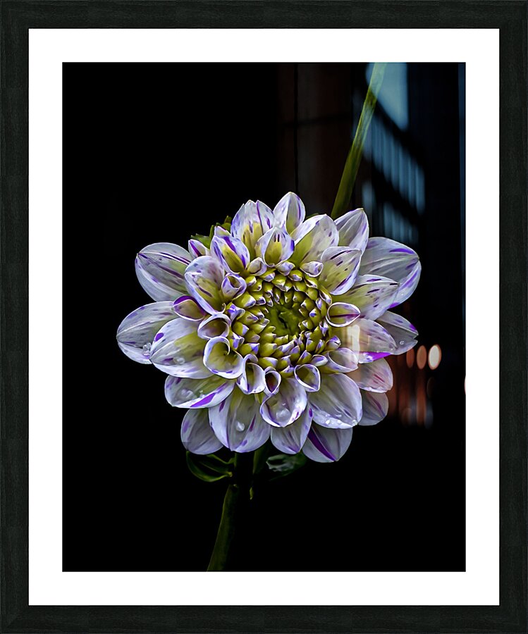 FLO 00485 Picture Frame print
