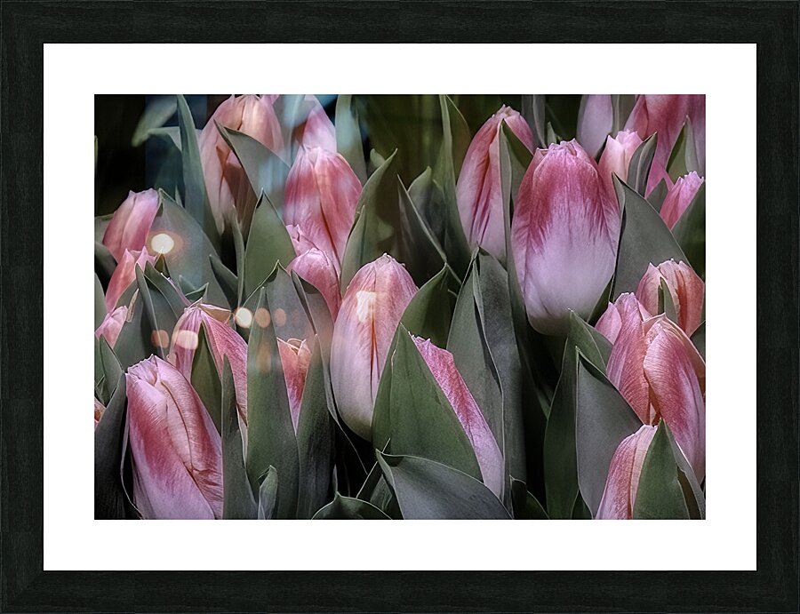 FLO 00494 Picture Frame print
