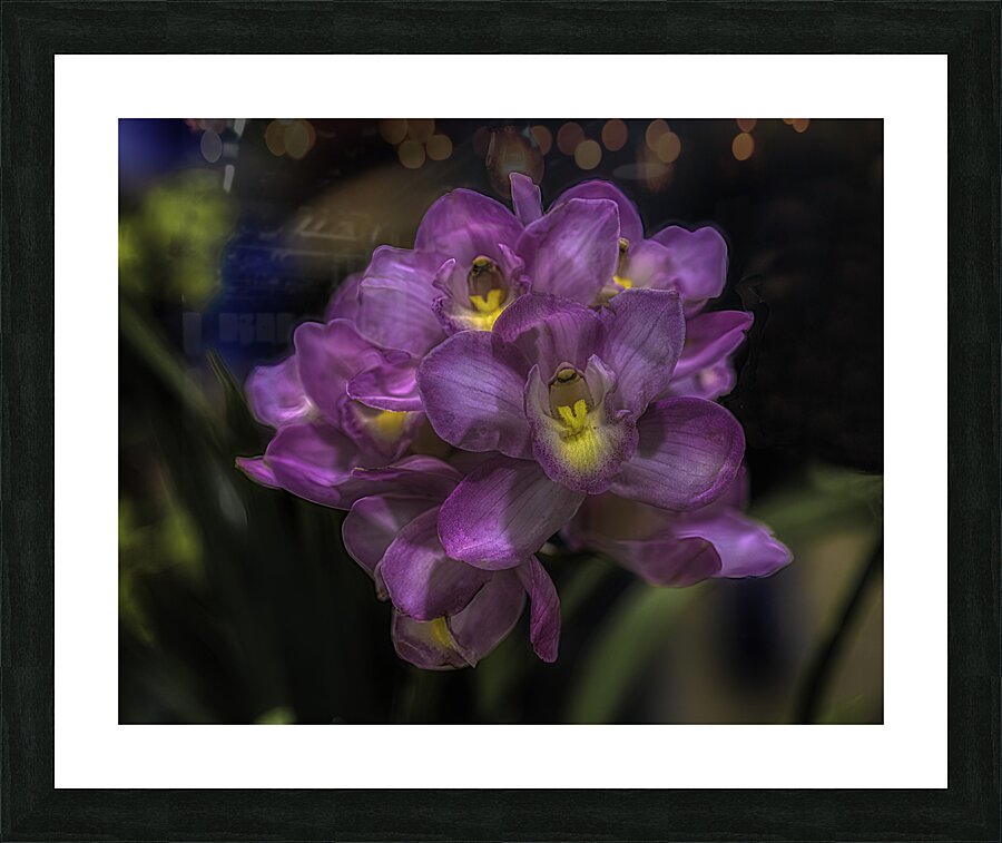 FLO 00496 Picture Frame print