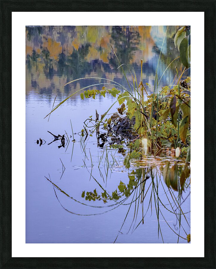 FLO 00468 Picture Frame print