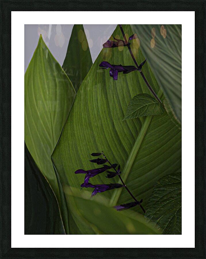 *FLO 00489 Picture Frame print