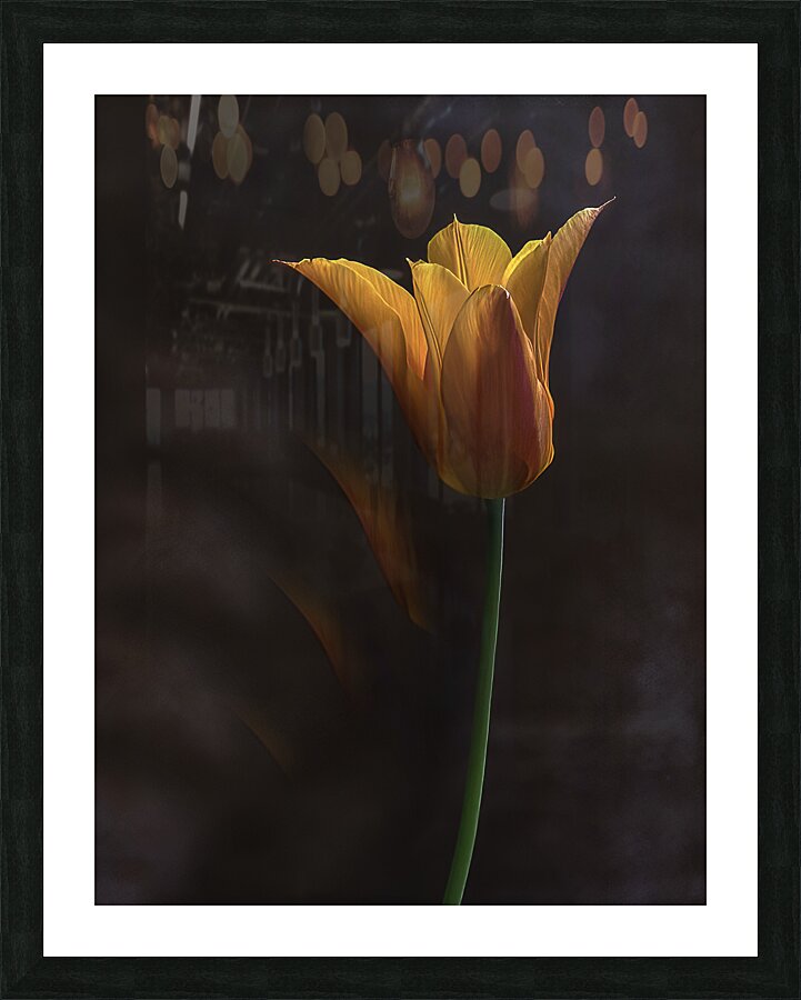 FLO 00516 Picture Frame print