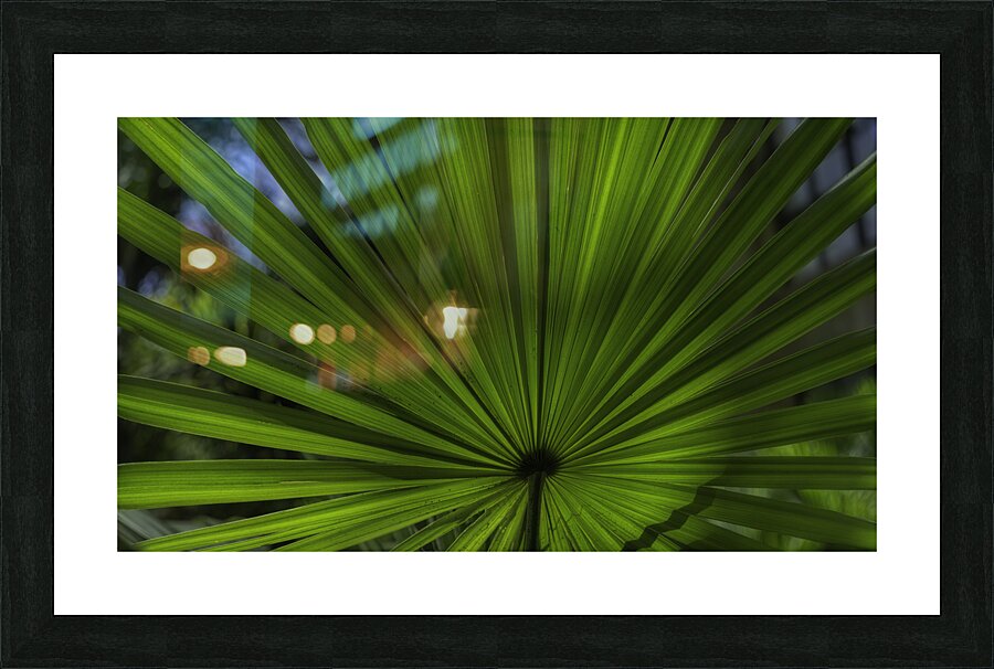 FLO 00540 Picture Frame print