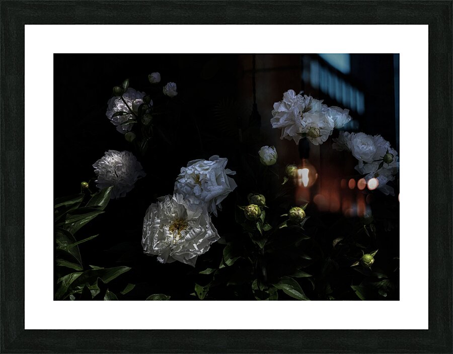 FLO 00537 Picture Frame print
