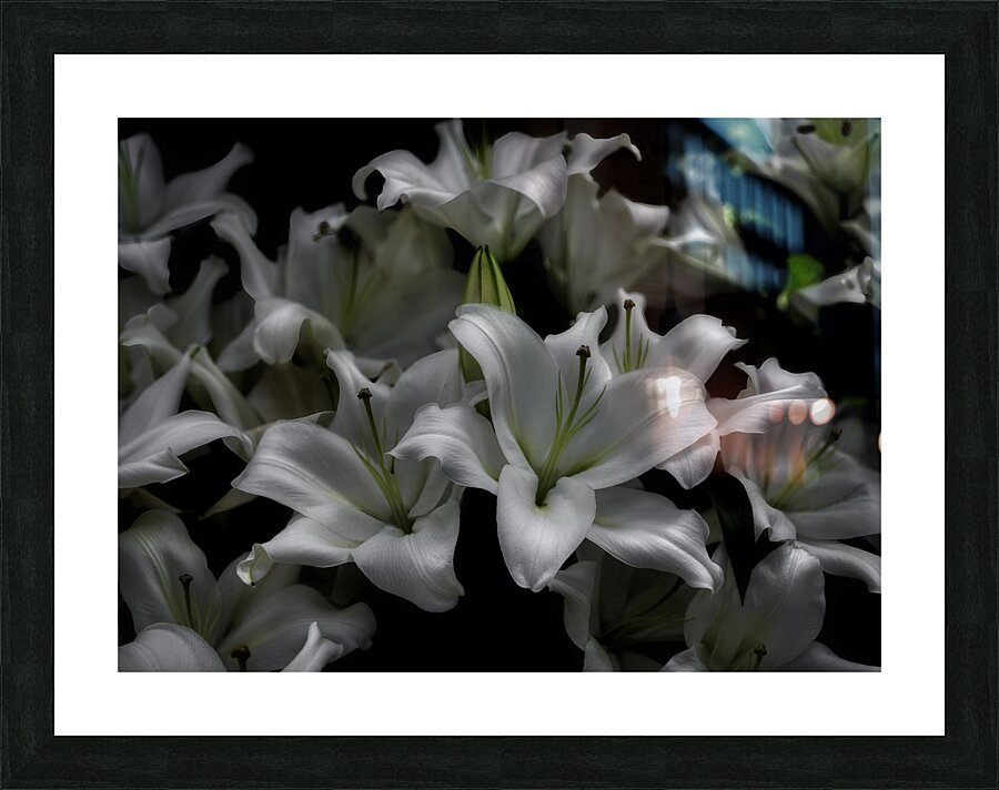FLO 00543 Picture Frame print