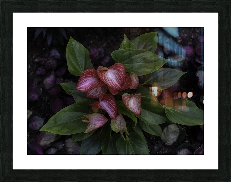FLO 00546 Picture Frame print