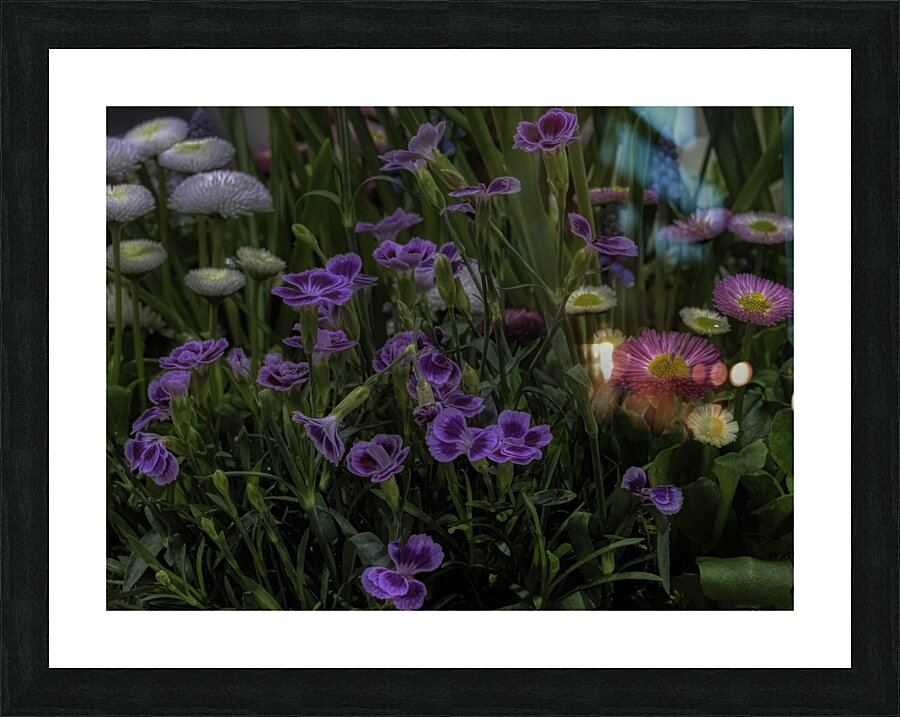 FLO 00501 Picture Frame print