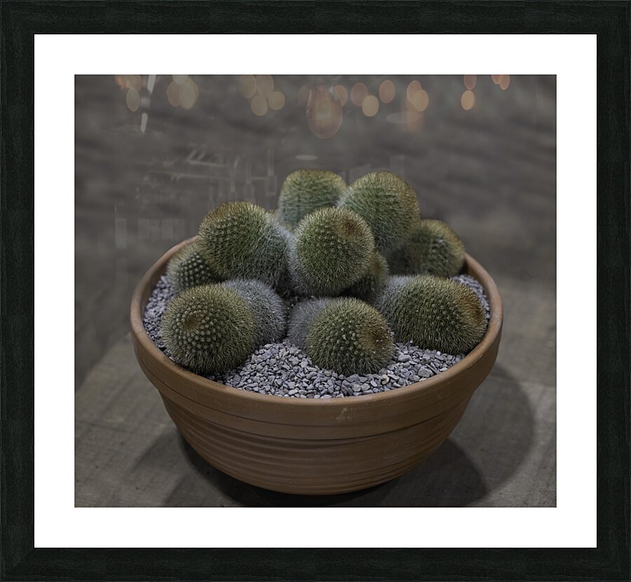FLO 00502 Picture Frame print