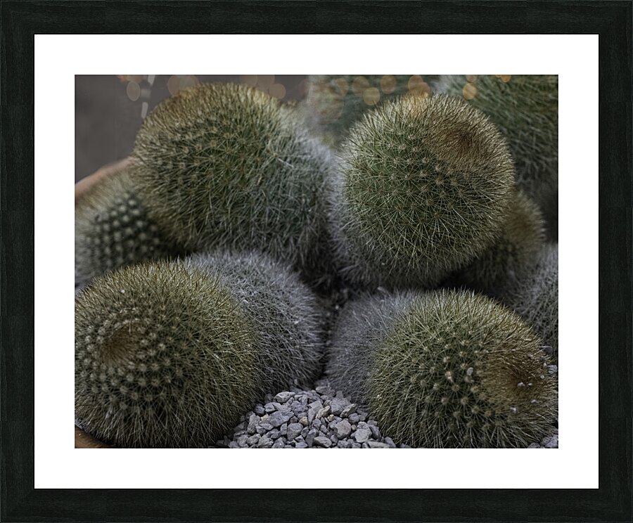 FLO 00503 Picture Frame print