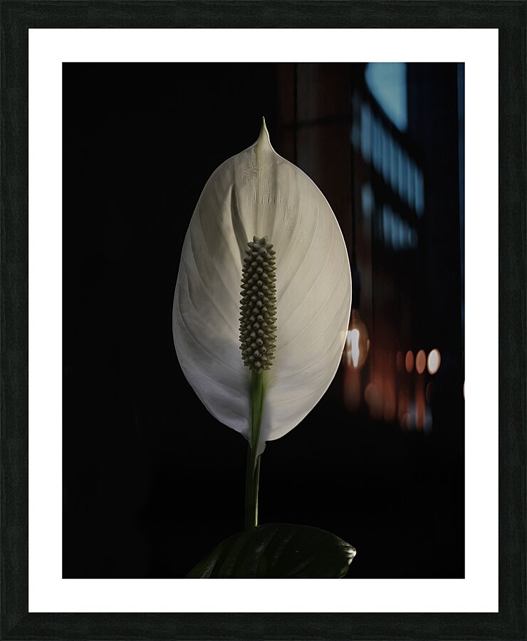 FLO 00527 Picture Frame print