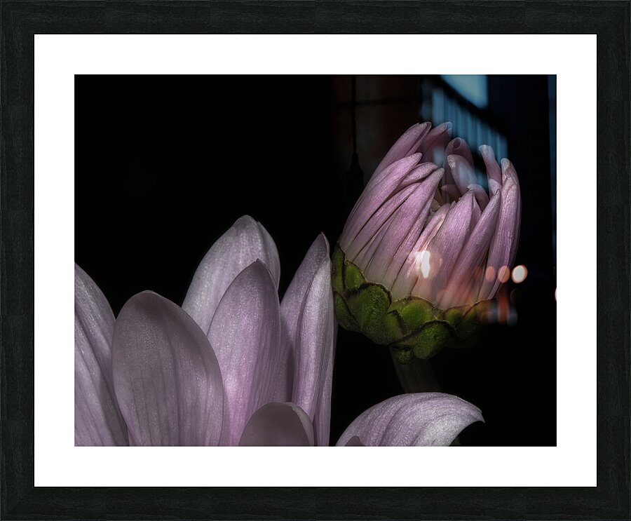 FLO 00525 Picture Frame print