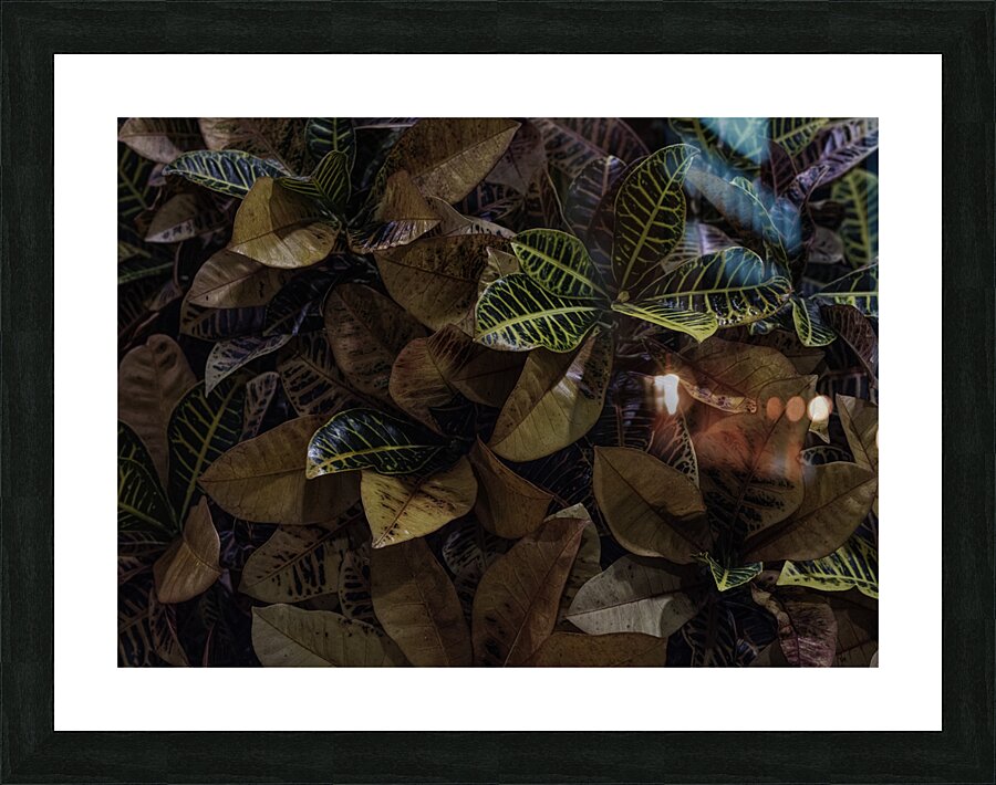 FLO 00508 Picture Frame print