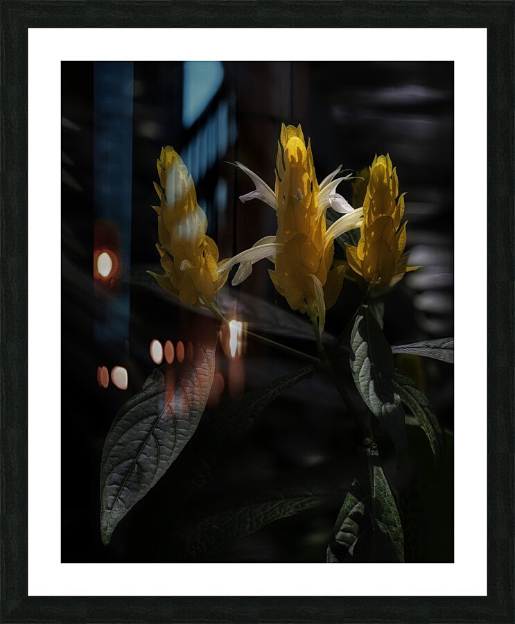 FLO 00539 Picture Frame print