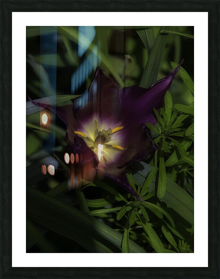 FLO 00517 Picture Frame print