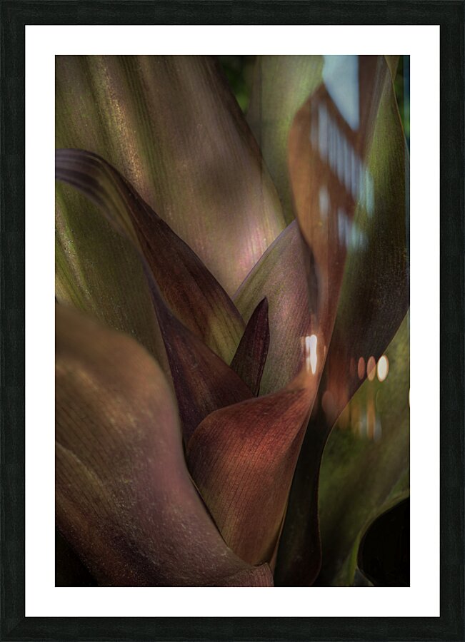 FLO 00509 Picture Frame print
