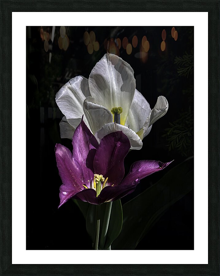 FLO 00520 Picture Frame print