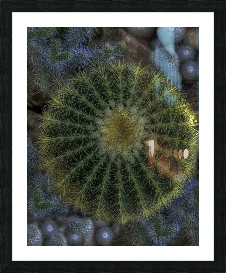 FLO 00550 Picture Frame print