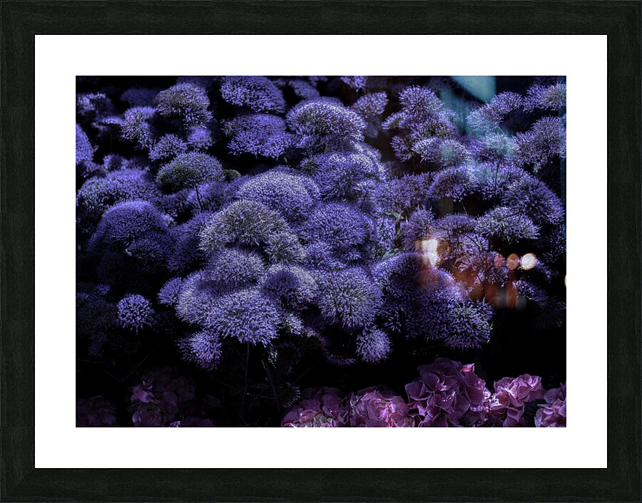FLO 00544 Picture Frame print