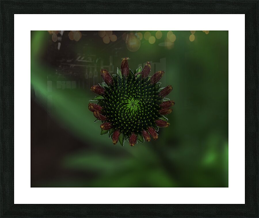 FLO 00576 Picture Frame print