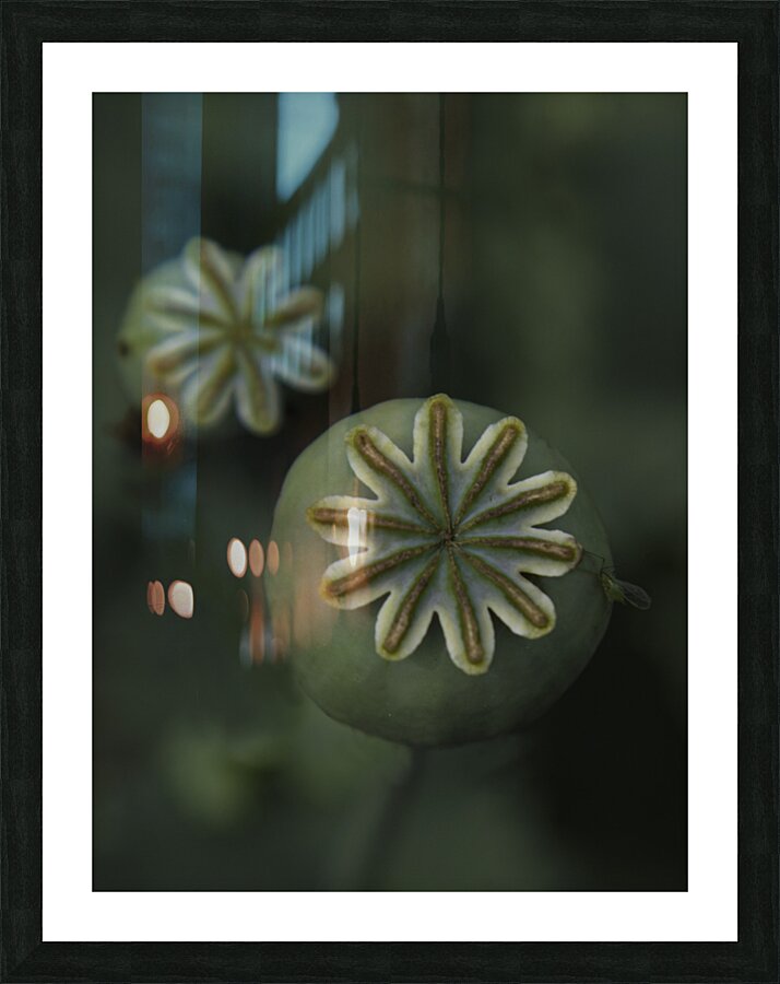 FLO 00599 Picture Frame print