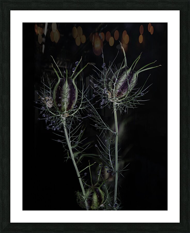 FLO 00567 Picture Frame print