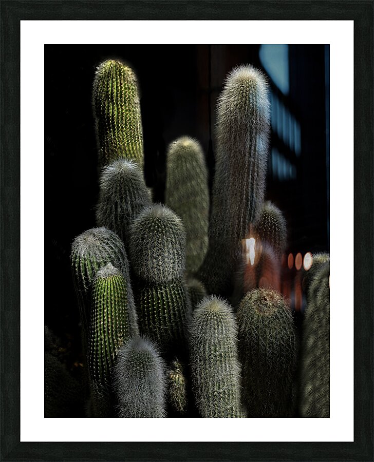 FLO 00551 Picture Frame print