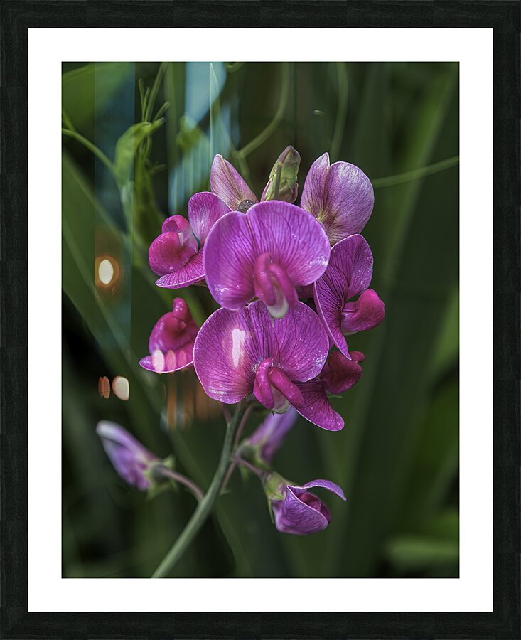 FLO 00580 Picture Frame print