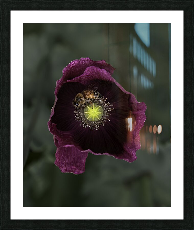 FLO 00565 Picture Frame print