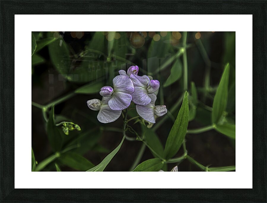 FLO 00585 Picture Frame print