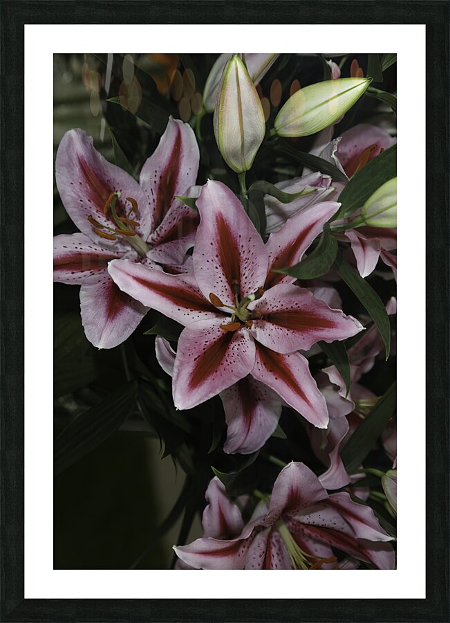 FLO 00604 Picture Frame print