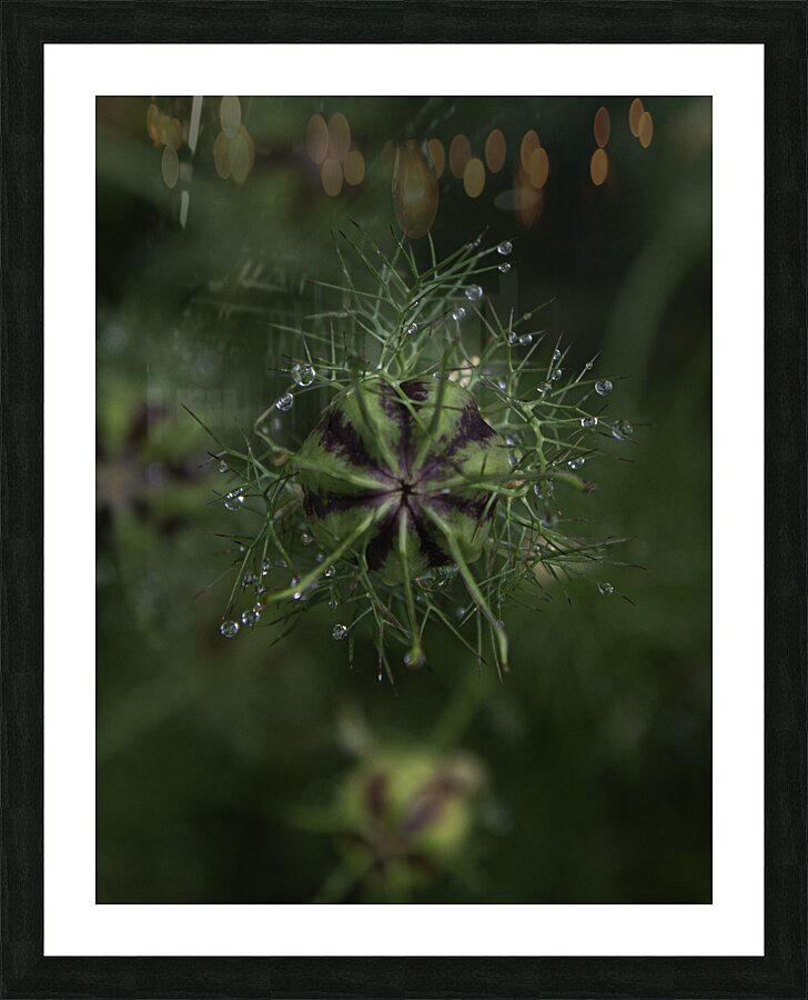 FLO 00590 Picture Frame print