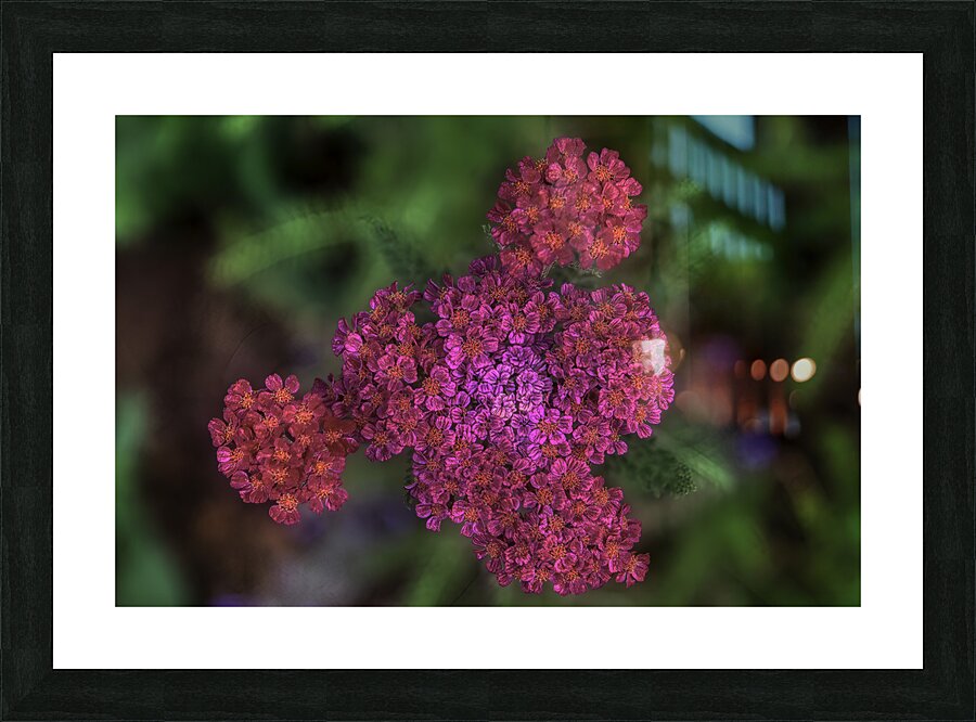 FLO 00597 Picture Frame print