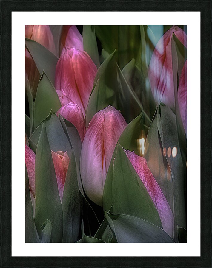 FLO 00560 Picture Frame print