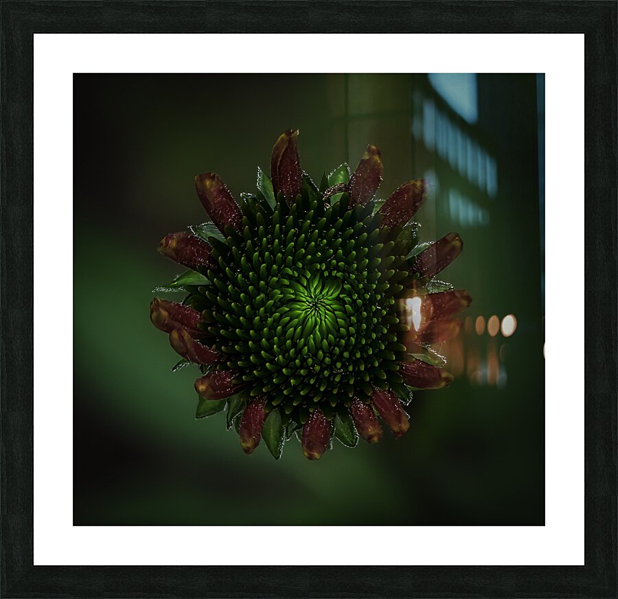 FLO 00577 Picture Frame print