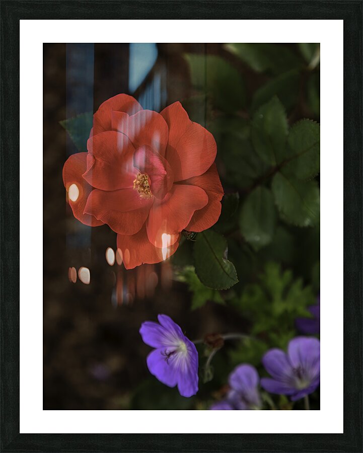 FLO 00582 Picture Frame print