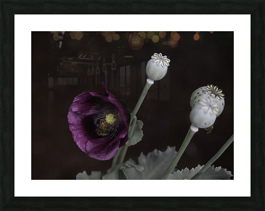 FLO 00568 Picture Frame print