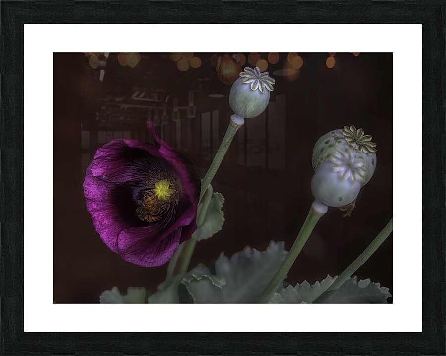 FLO 00575 Picture Frame print